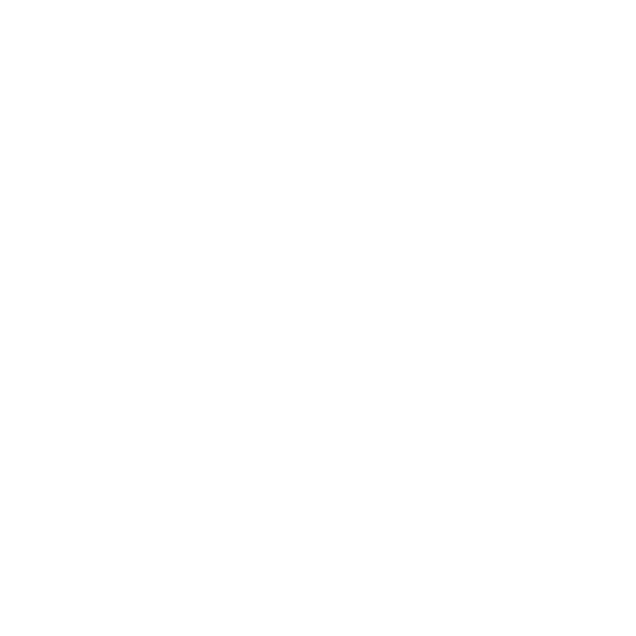 Lieferwagen-Symbol mit Häkchen, das Geschwindigkeit oder Zuverlässigkeit symbolisiert.